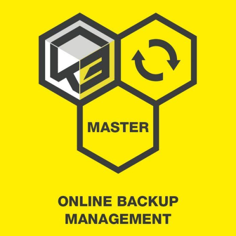 Активация функции KESS 3 Online Backup Management