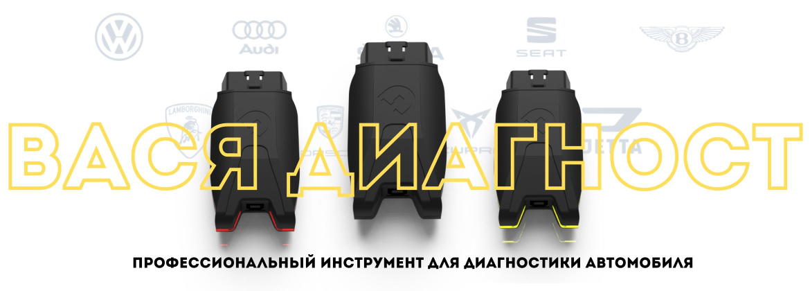 Вася Диагност Официальный