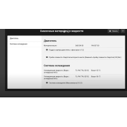 Активация FIX Haynes Pro для DiagZone на 1 год